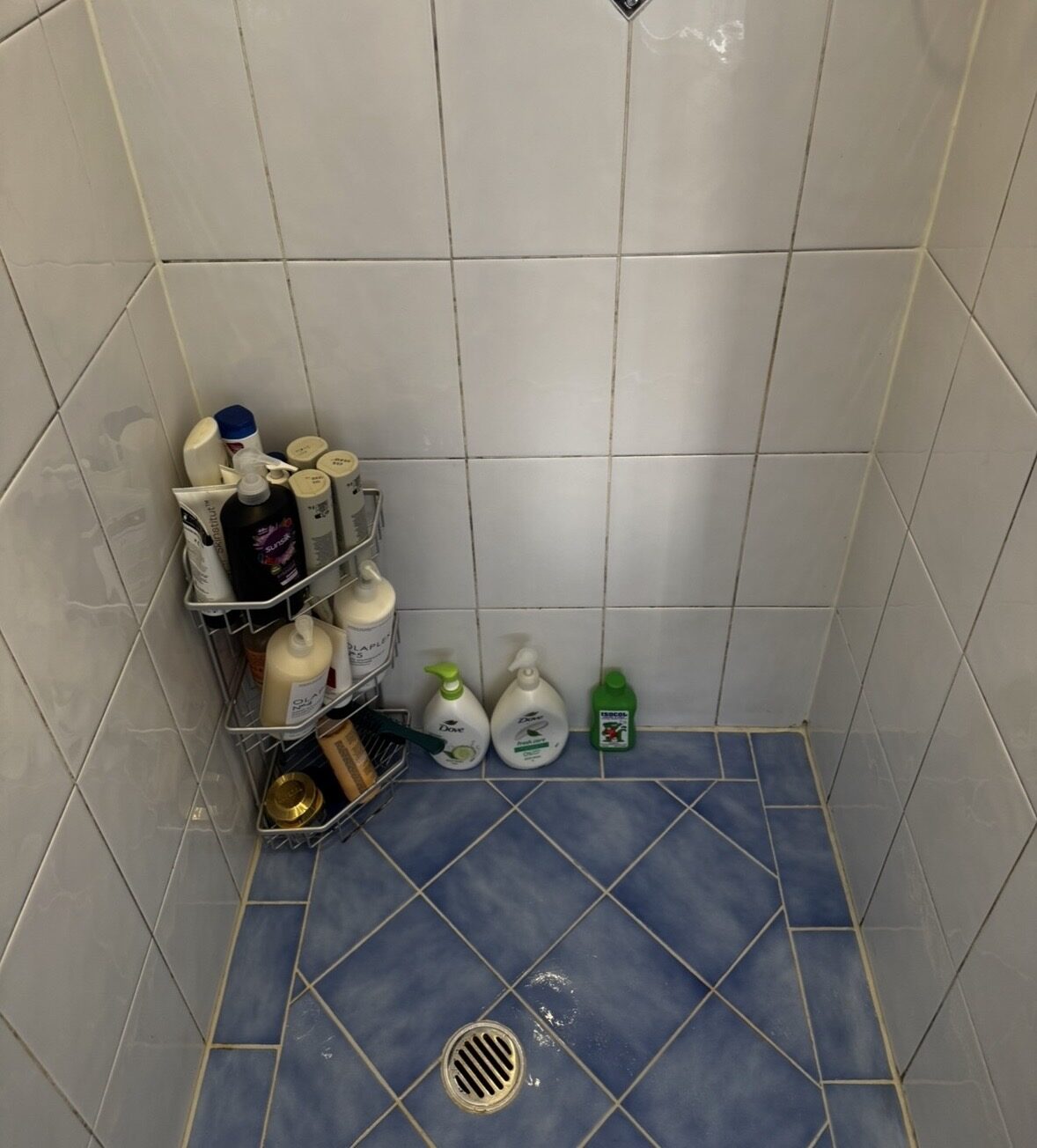 Shower floor after — grout lines pale and even
