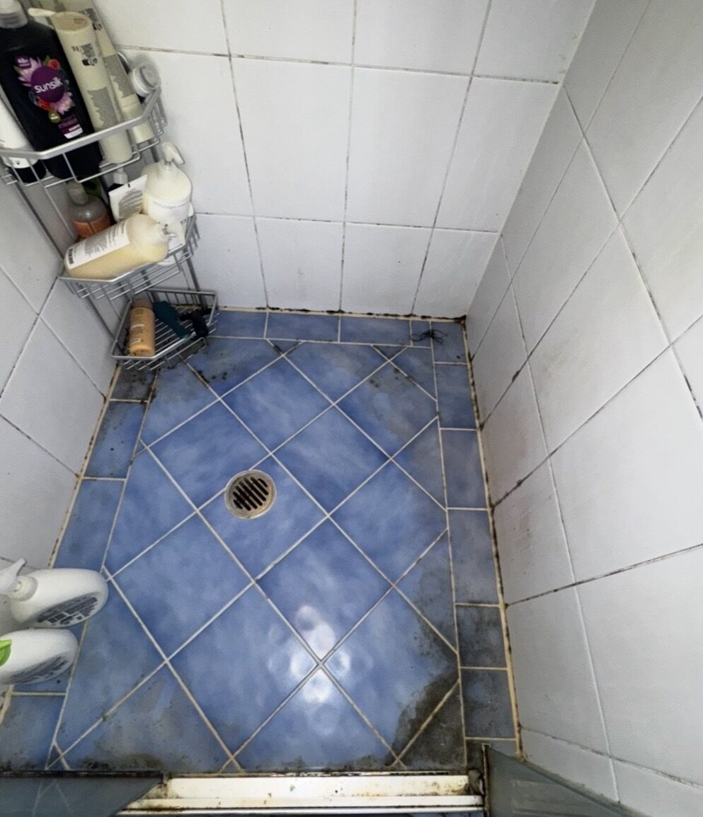 Shower floor before — grout darkened by mould