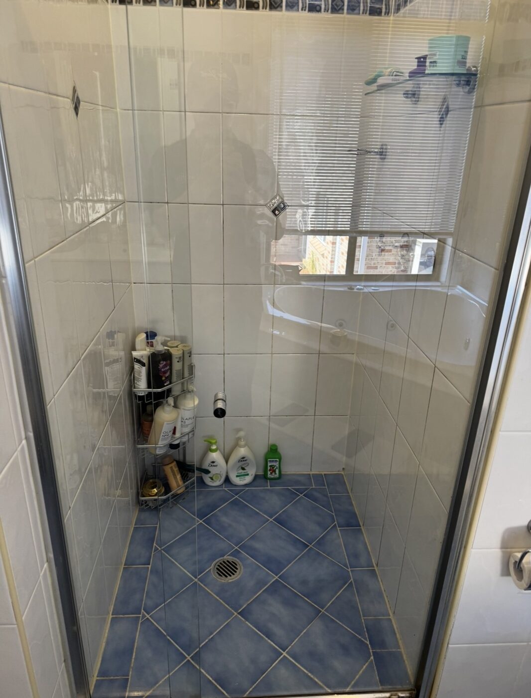 Shower interior after — clear glass, bright tiles