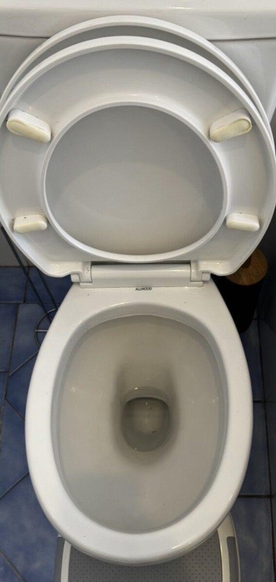 Toilet after — bright white inside and out