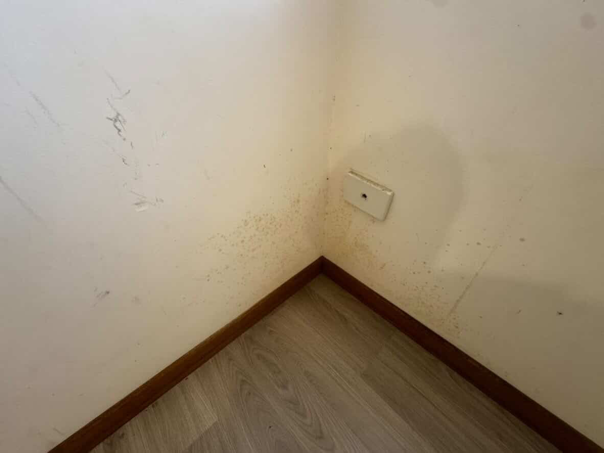 Walls before cleaning
